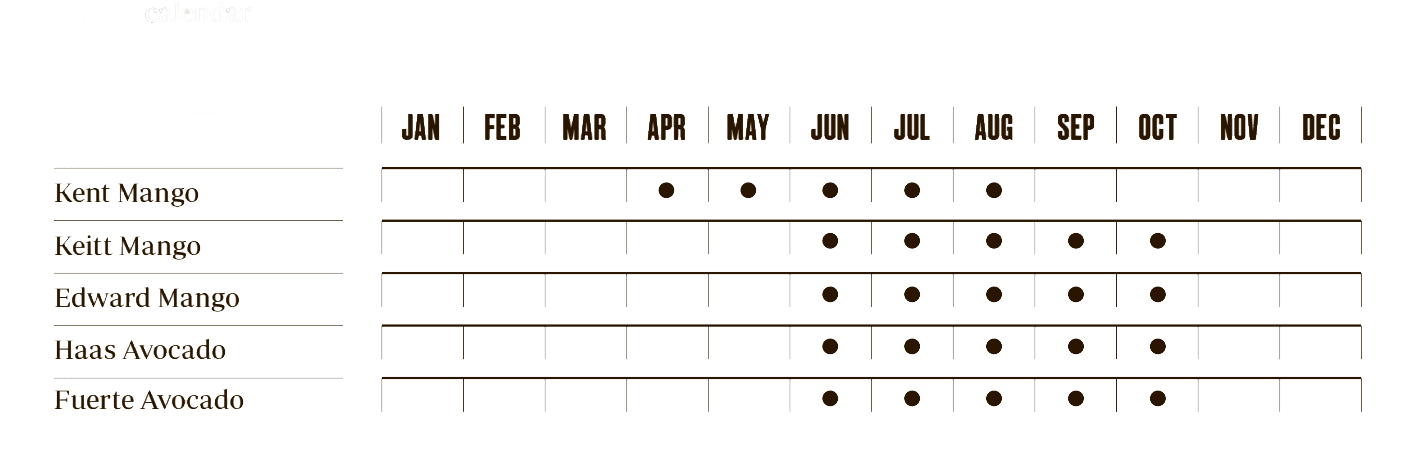 calendar showing the months in which all fruits are grown || pachamama_farms_high_quality_exotic_fruits_vegetables_peru_calendar.png
