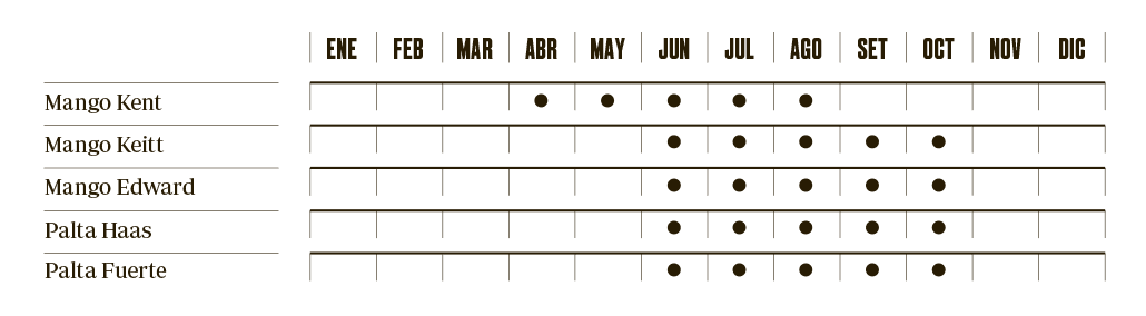 calendar showing the months in which all fruits are grown