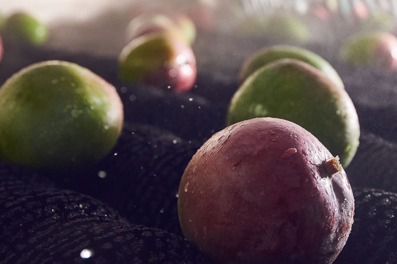 background fruits background fruits and products we sell || pachamama_farms_high_quality_exotic_fruits_vegetables_peru_assets/6.jpg