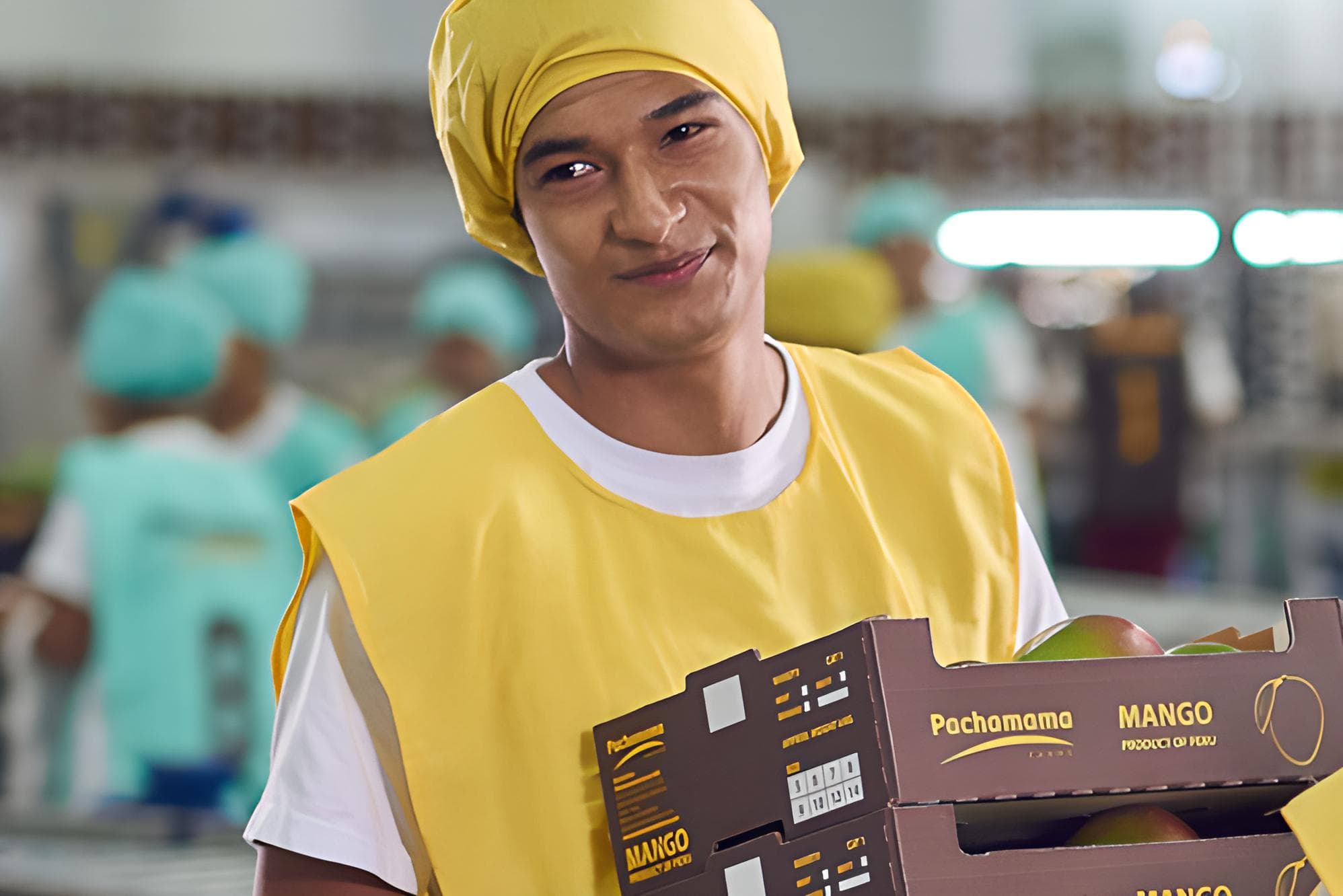 worker carrying fruits worker carrying fruits while working || pachamama_farms_high_quality_exotic_fruits_vegetables_peru_7.png