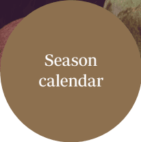 season calendar seasonal calendar where all fruits are grown || pachamama_farms_high_quality_exotic_fruits_vegetables_peru_CalendarInfo.png