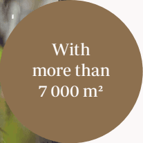 Información sobre el territorio de Fincas Pachamama Ilustración con información sobre los 7000 metros cuadrados de fincas de pachamama donde se cultivan las mejores frutas del Perú.