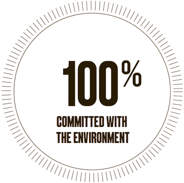 icon about our great virtues icon where we talk about our excellent work team,Certified guarantee,Innovation